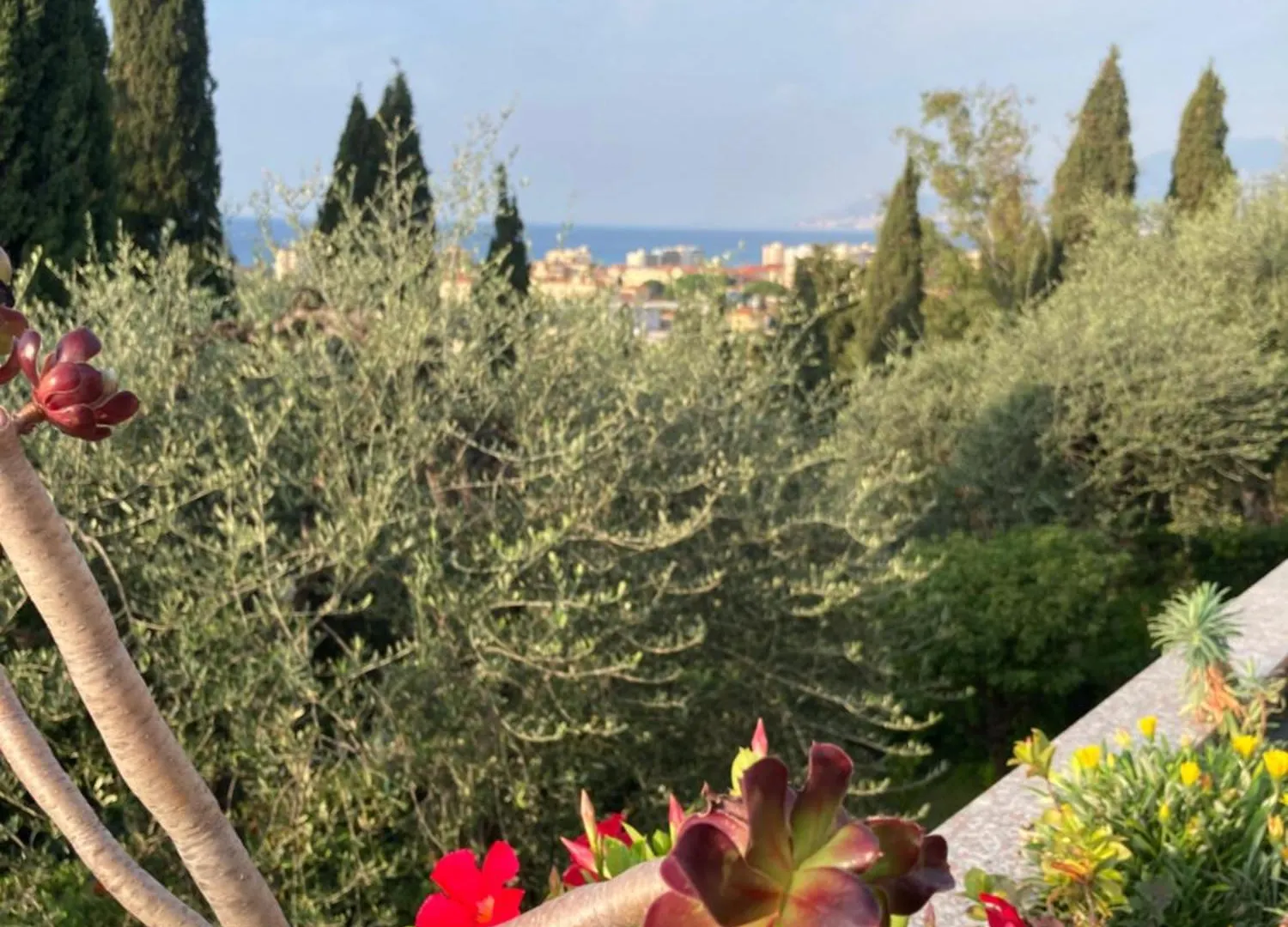 Bellavista By Ligurianlife Apartment Bordighera